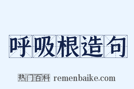 呼吸根造句是什么意思的图片